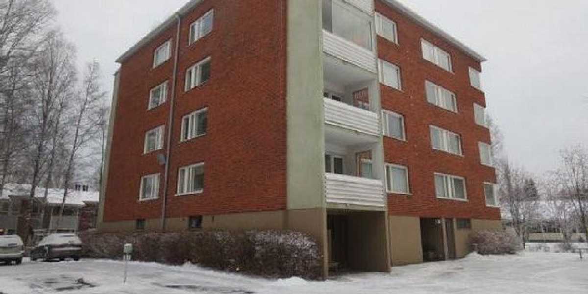 As Oy Leppäliiverinhaka